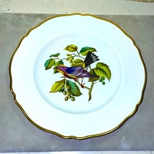 Spode Copeland’s China England Hand Painted Audubon 10.5” Dinner Plate Excellent